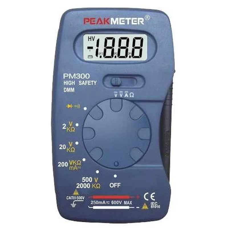 PM300