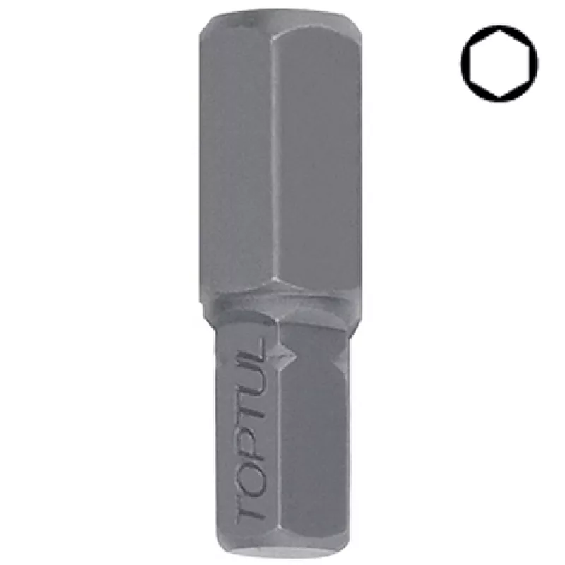 FSDA1010